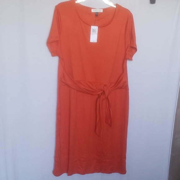 Women's Plus Size 1X Dress Built In Accent Belt Planet Gold Soft Orange - Picture 2 of 8